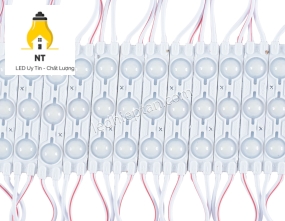 Module 3 bóng trắng tim 6011 len đục HC