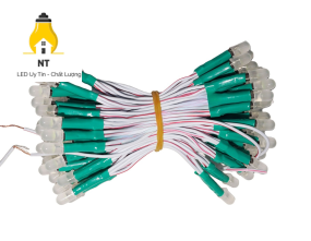 Bịch led ruồi 12v LÁ LR