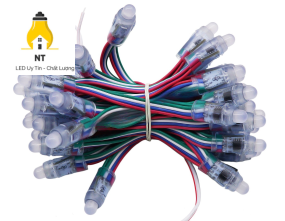 LED ARGB F8 IC1916 5V LL