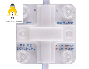 Module 4 bóng 220V bốn lõi TY
