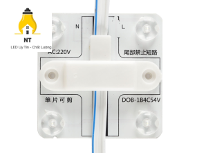 Module 4 bóng 220V ba lõi TYY