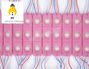 Module 3 bóng 6113 SMD 2835 tim Hồng LR