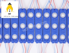 Module 3 bóng Dương SMD2835 6113-A len đục LR