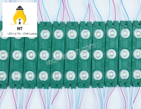 Module 3 bóng LÁ SMD2835 6113-A len đục LR