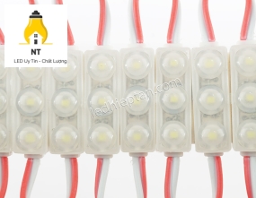 Module 3 bóng 2835 trắng mini 2809