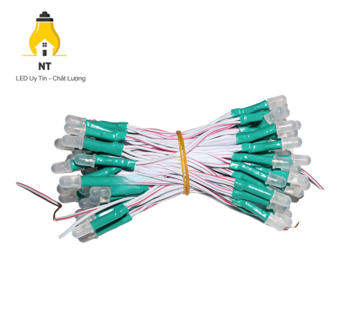 Bịch LED ruồi 5mm 5V LÁ LR