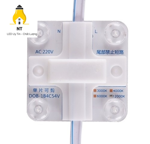 Module 4 bóng 220V bốn lõi TY