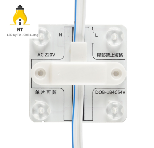 Module 4 bóng 220V ba lõi TYY