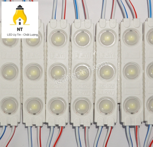 Module 3 bóng Trắng ấm SMD2835 6113-A len đục LR