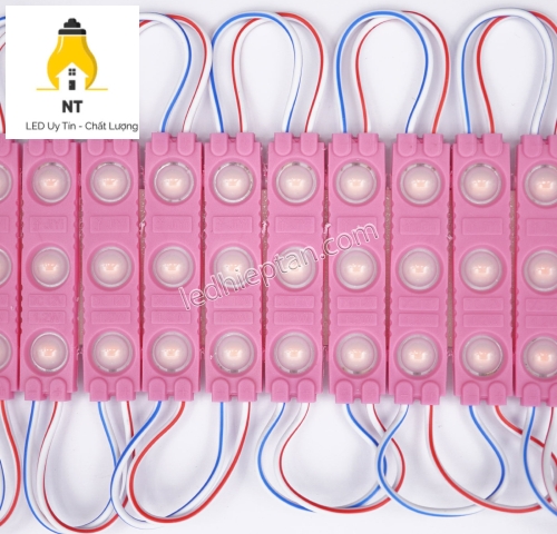 Module 3 bóng 6113 SMD 2835 tim Hồng LR